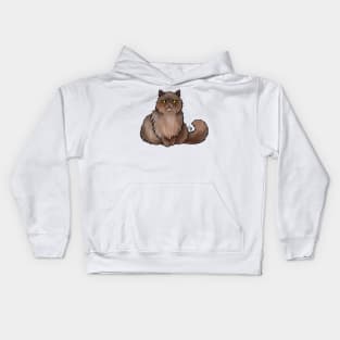 Cat - British Longhair - Brown Kids Hoodie